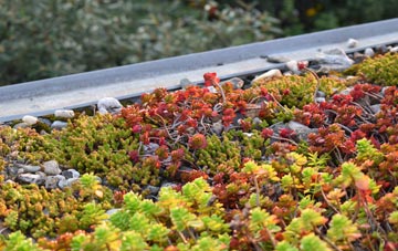 the cost of Westerleigh Hill green roof installation