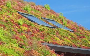 Westerleigh Hill living roof systems