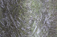 Westerleigh Hill fibreglass roof work